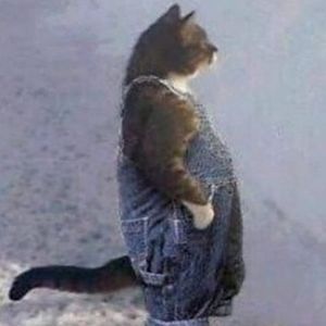 Meet your Posher, Josh